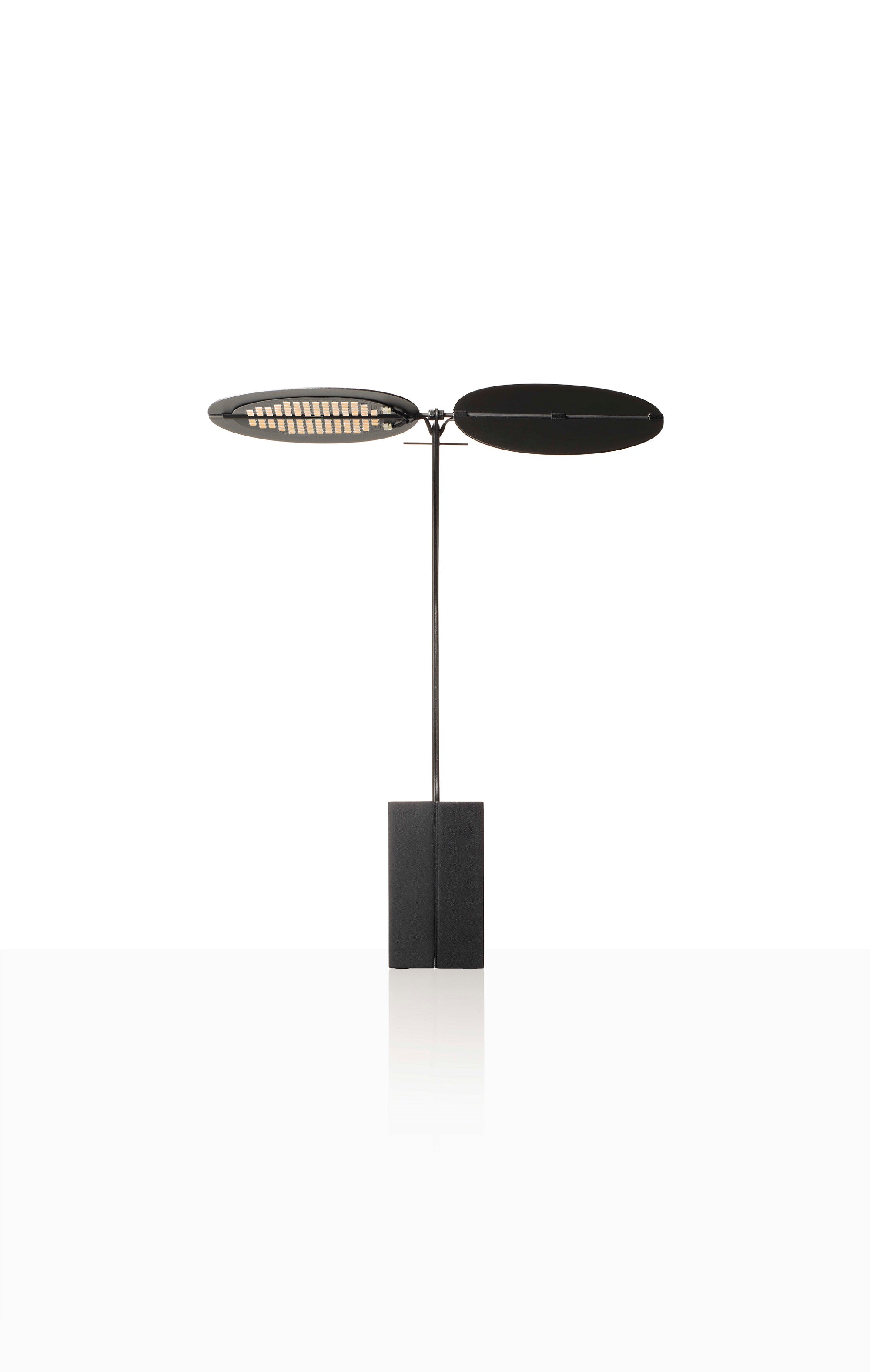 Sage / Black (セージ / ブラック)