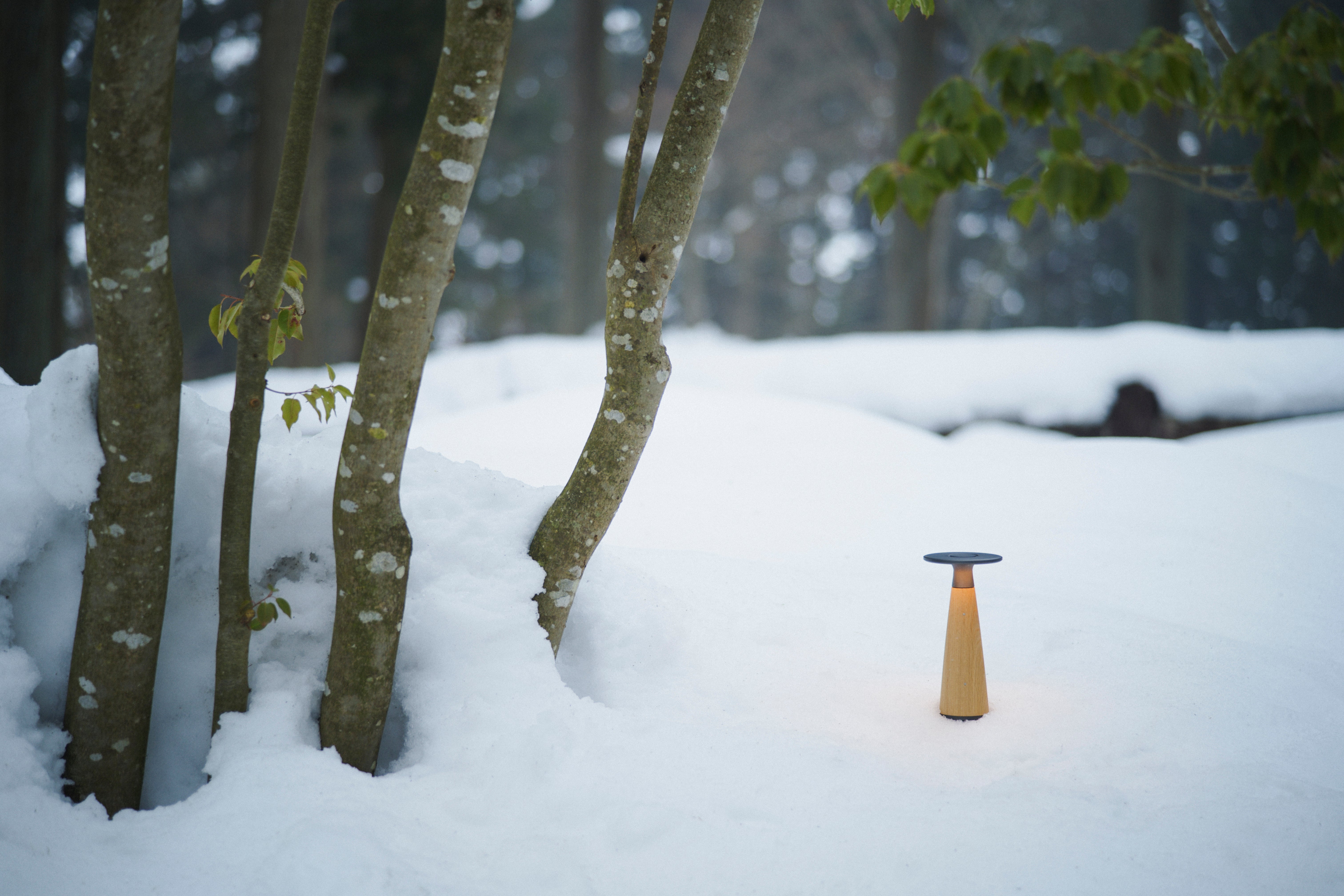 【NEW YEAR’S GREETINGS 2026】