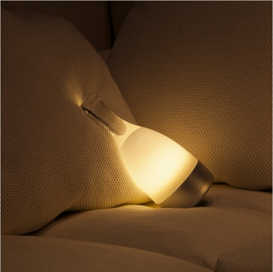 最も優遇の AmbientecアンビエンテックBottledボトルド その他